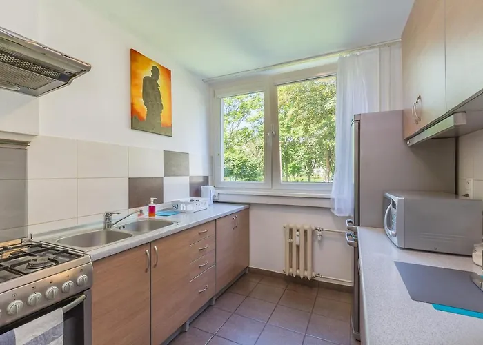 Art Zachodnia * Breslavia